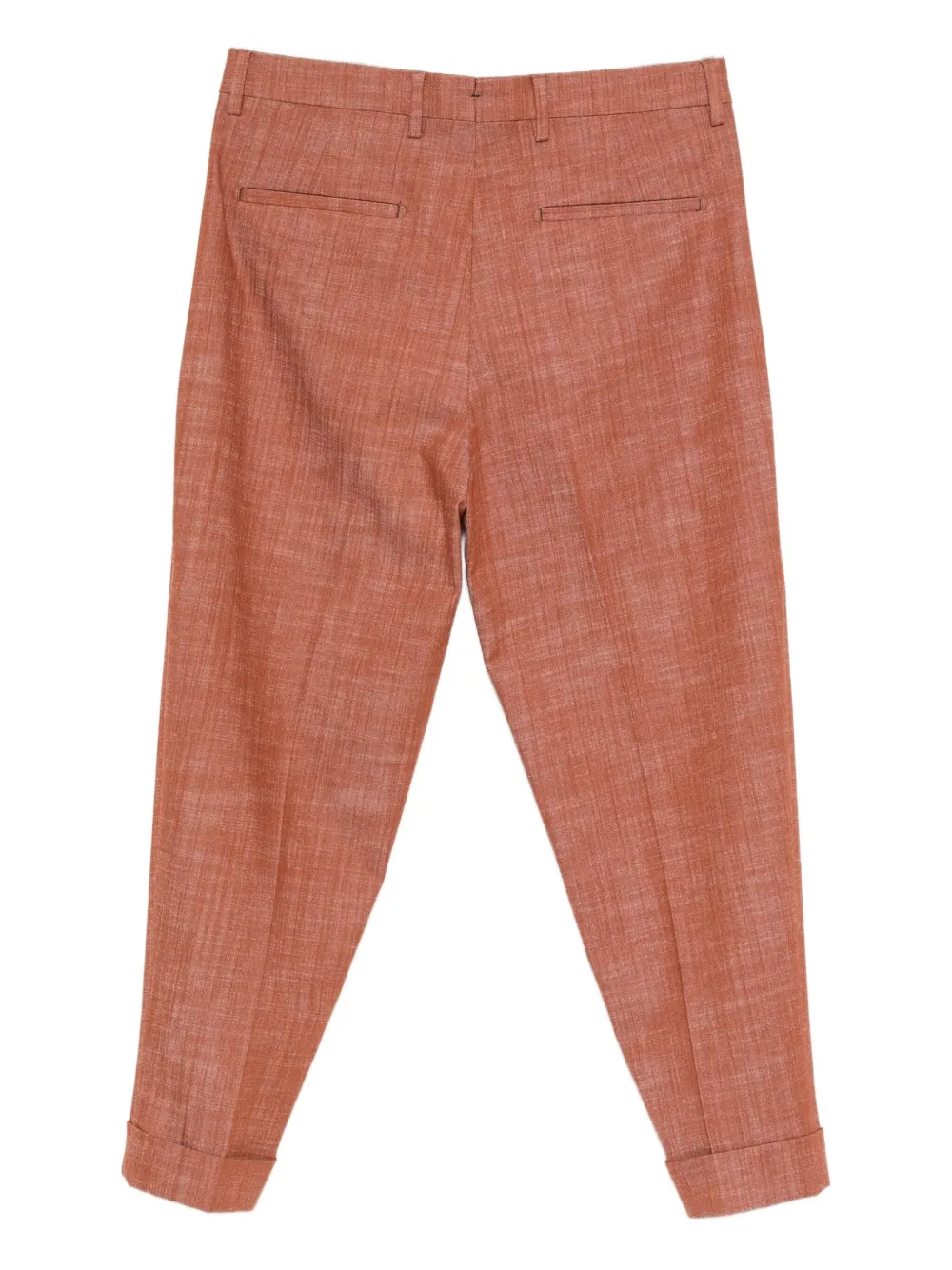 Berwich Chiaia pleated trousers - Bruin