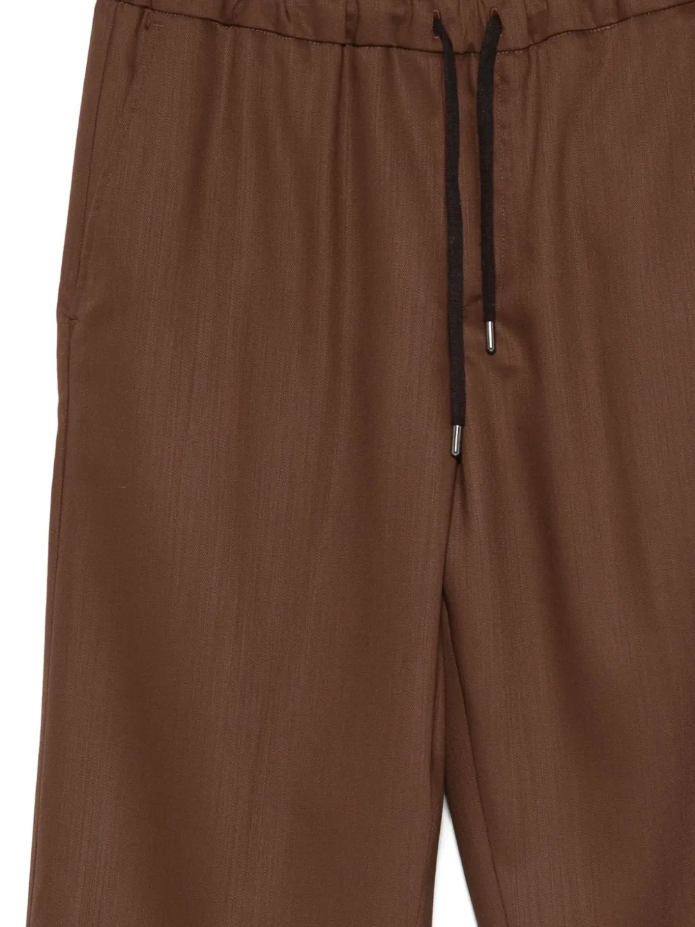Costumein Drawstring Tailored Trousers In Brown