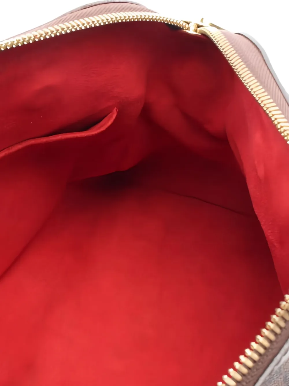 Louis Vuitton Pre-Owned 2010 Damier Ebene Trevi PM shopper Bruin