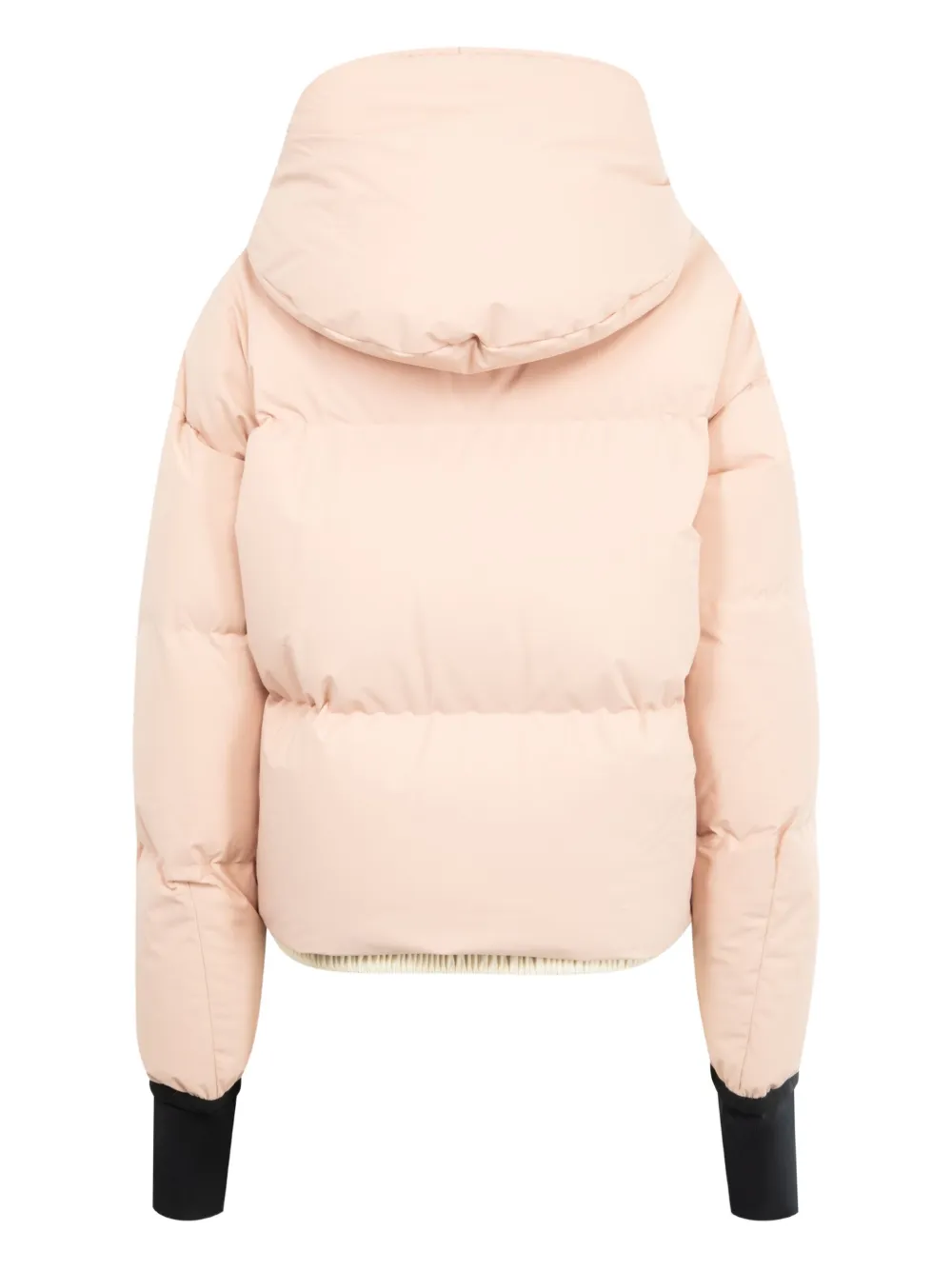 Moncler Allessaz Hooded Ski Jacket In Neutral