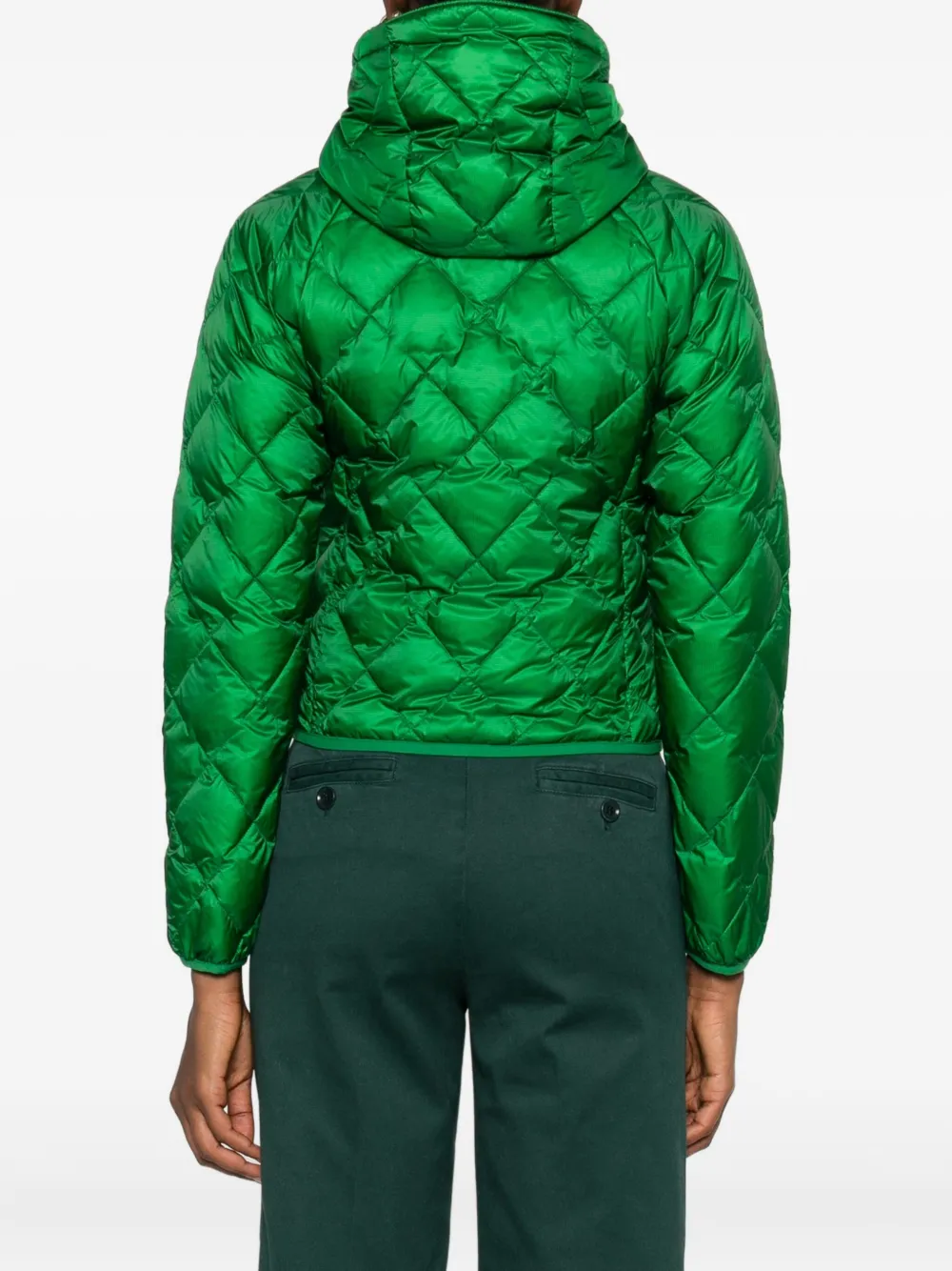 ASPESI Jack met capuchon Groen