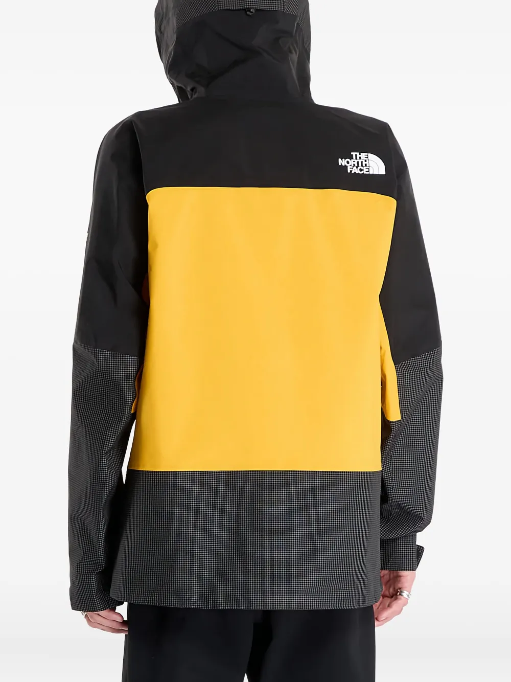 The North Face veste Summit Mountain Gore-Tex Pro | Vestes à capuche | Image 2