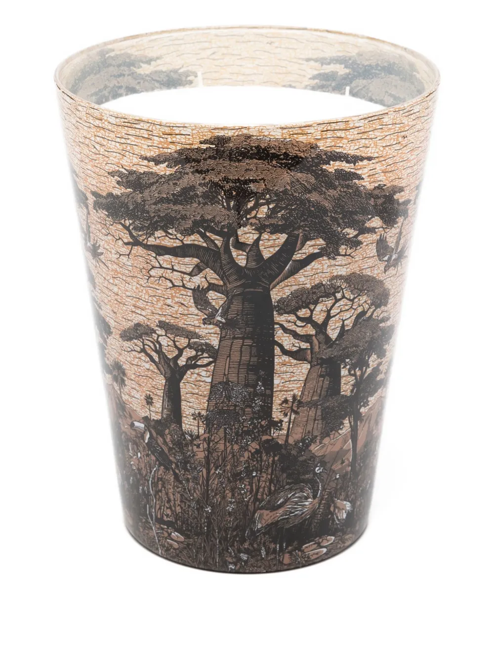Baobab Collection vela Mankono de 3000g | Velas | Image 2