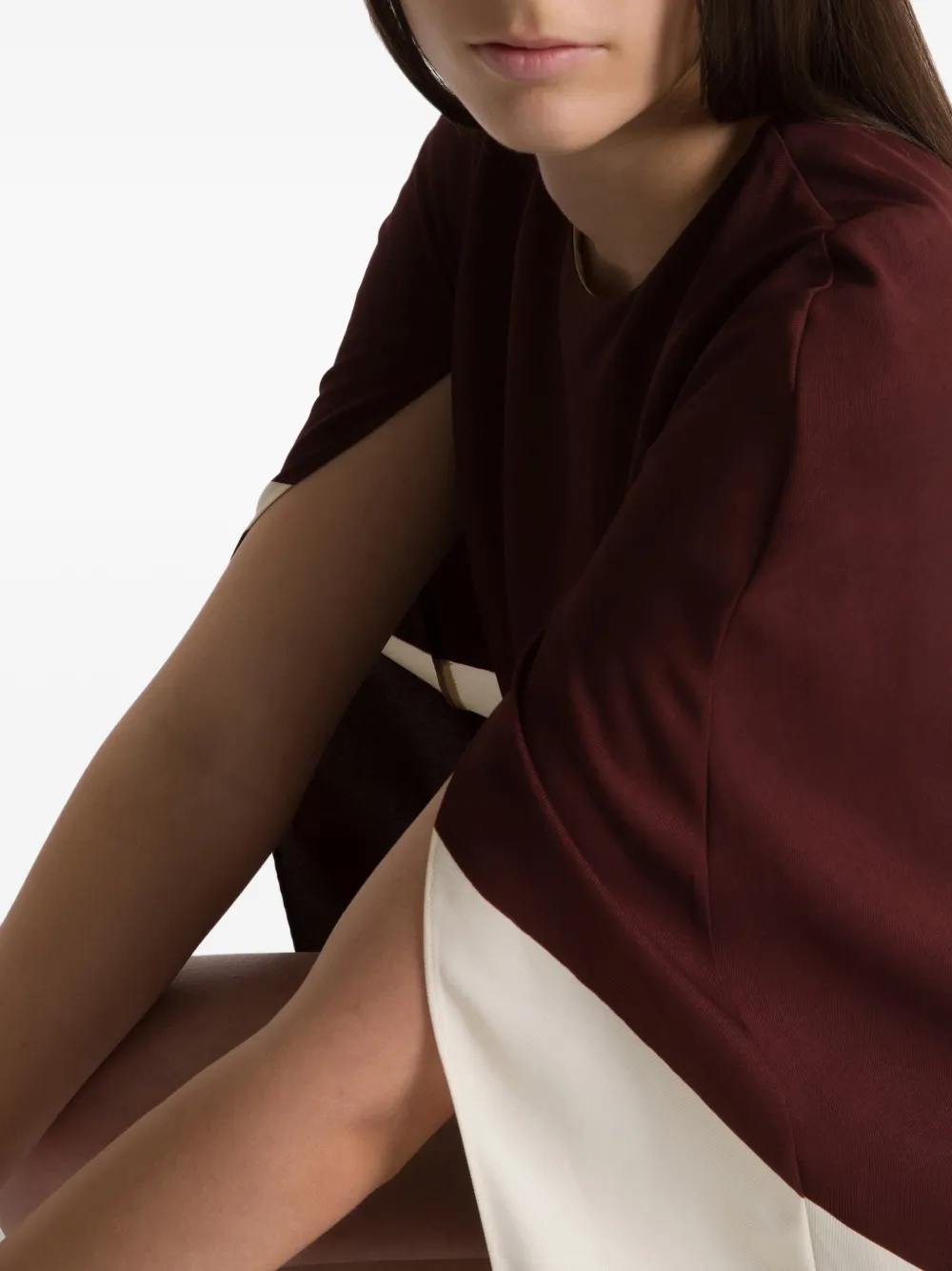 Alberta Ferretti Jurk met colourblocking Bruin