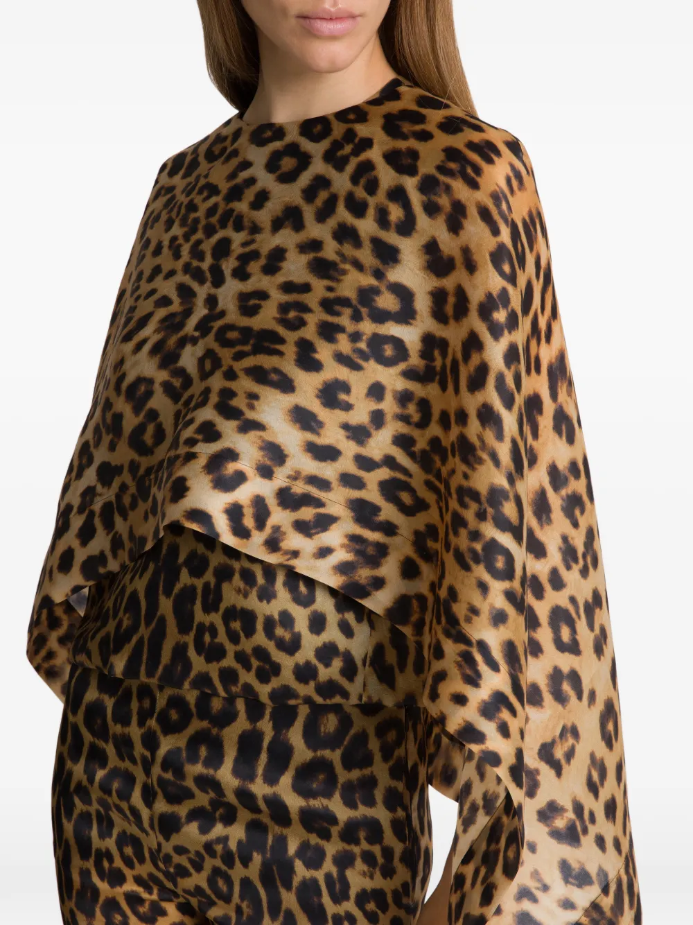 Alberta Ferretti Gelaagde top met luipaardprint Bruin