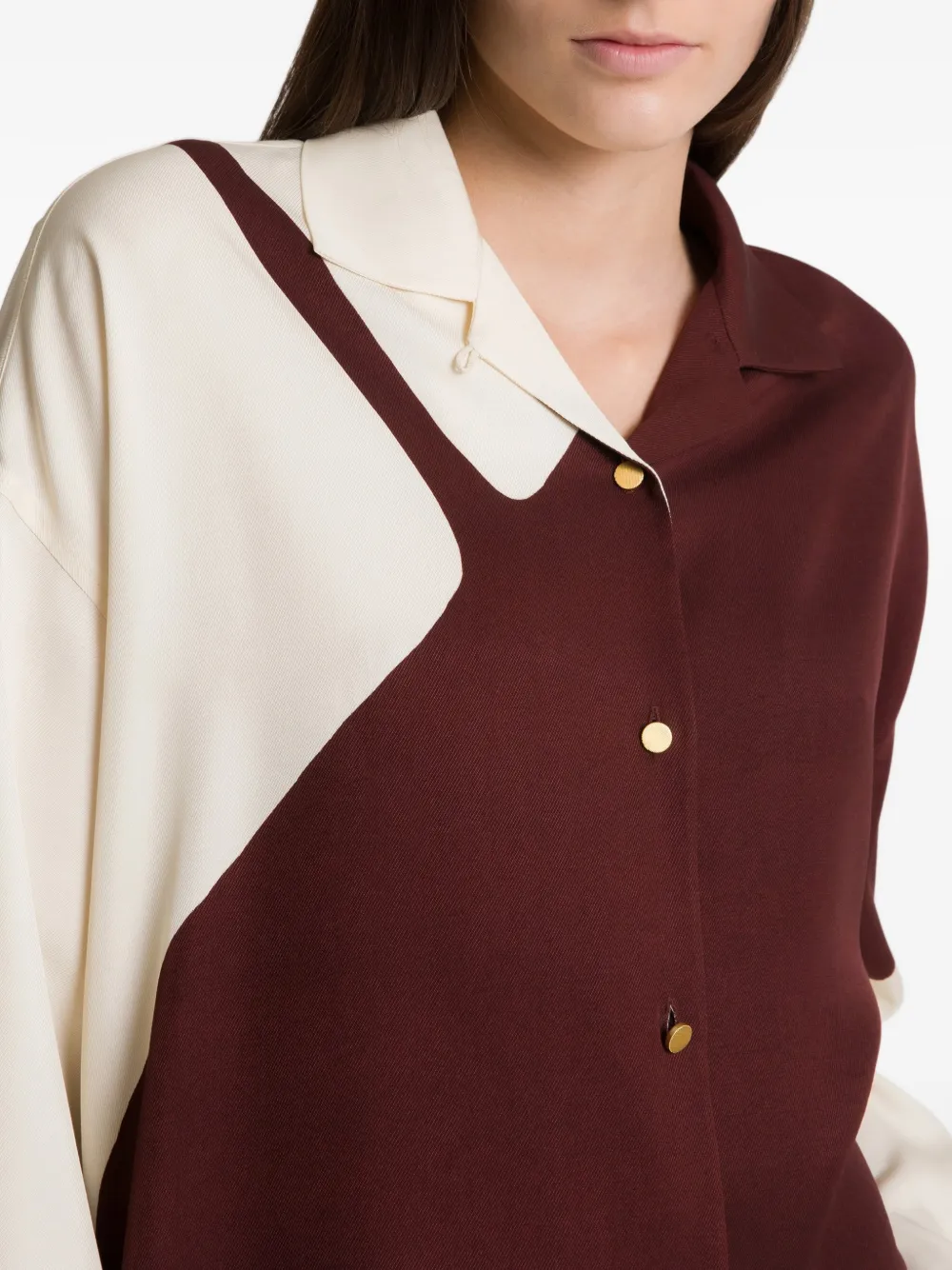 Alberta Ferretti Overhemd met colourblocking Bruin