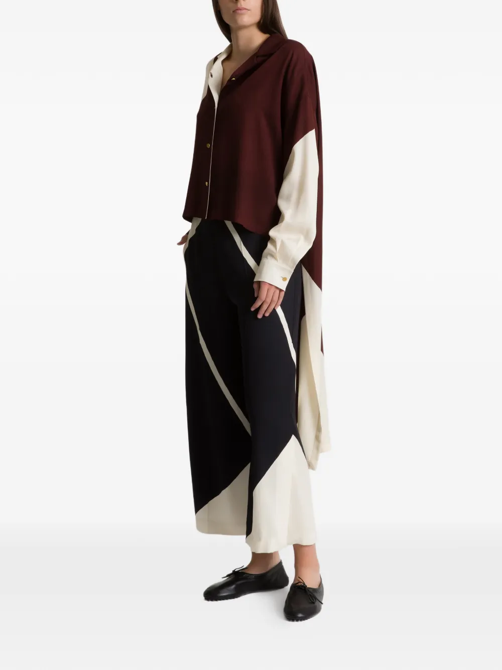 Alberta Ferretti Overhemd met colourblocking Bruin
