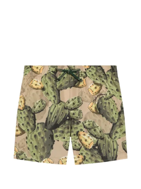 Dolce & Gabbana Kids cactus-print swim shorts