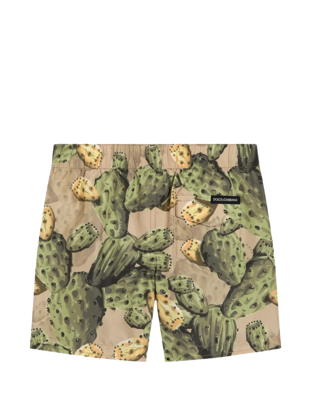 Dolce & Gabbana Kids Zwembroek met cactusprint - Beige