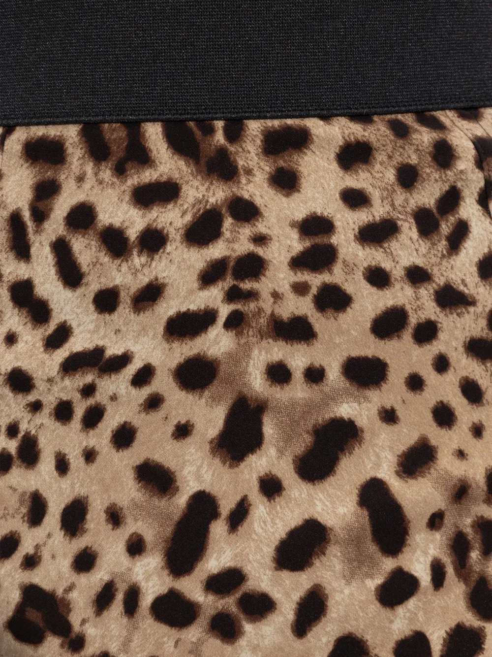 Dolce & Gabbana Ftag1tgdclp Hy13m Leo New In Animal Print
