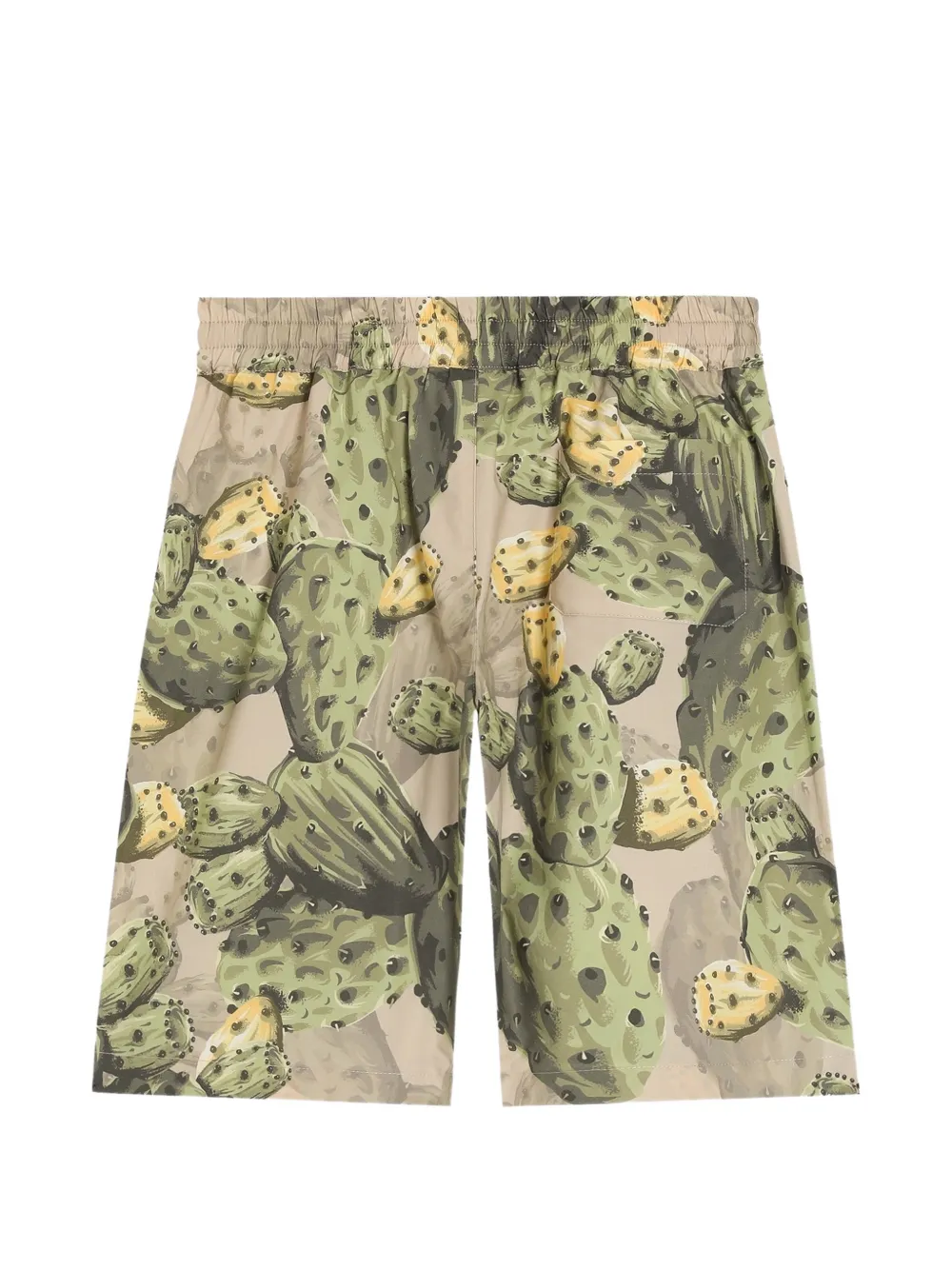 Dolce & Gabbana Kids Popeline bermuda shorts met cactusprint Groen