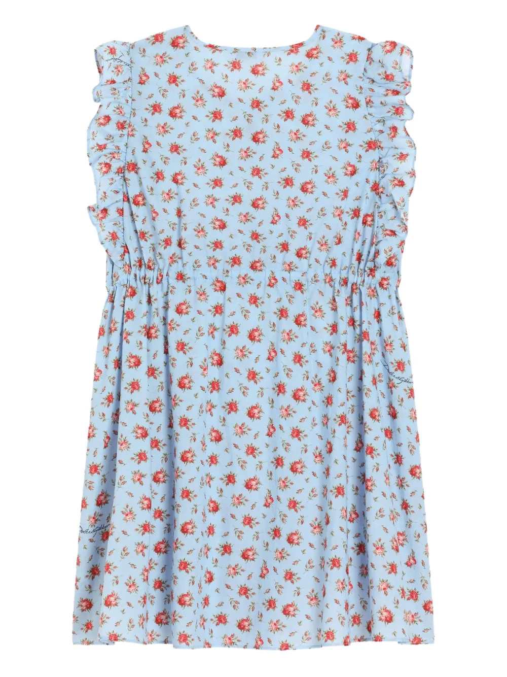 Ruffled Floral-Print Dress