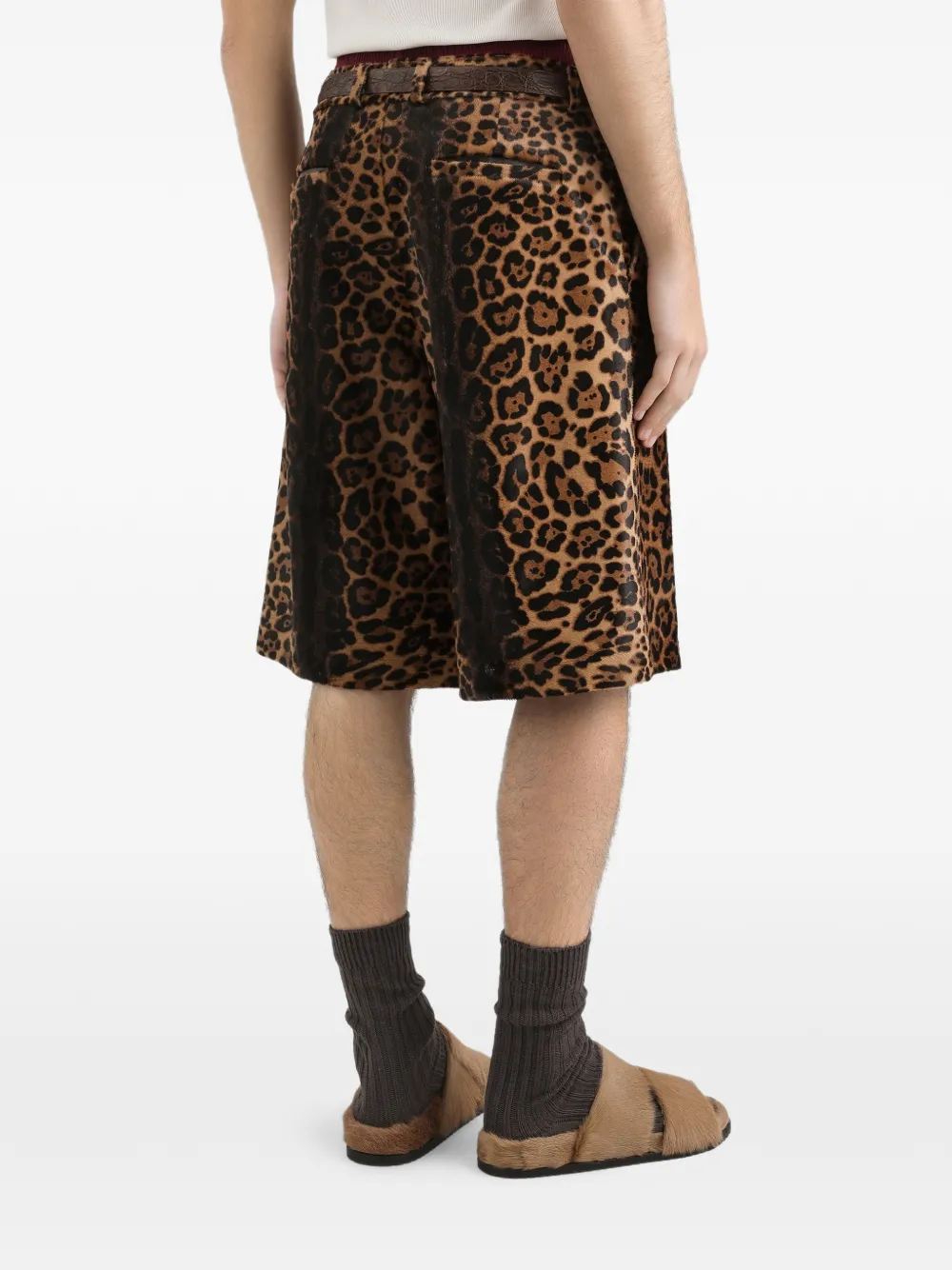 Dolce & Gabbana Kalfsleren broek met luipaardprint Bruin