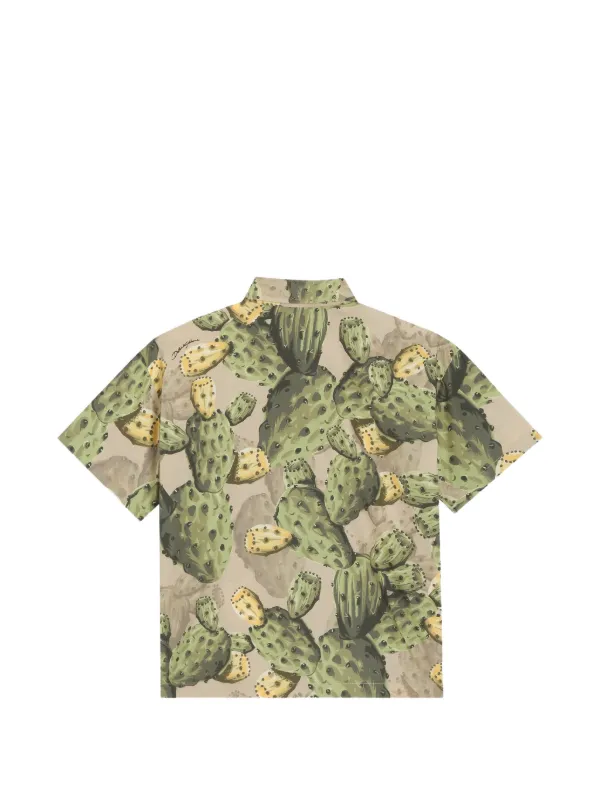 Dolce & Gabbana Kids Popeline-Hemd Mit Kaktus-Print | Grn | FARFETCH DE