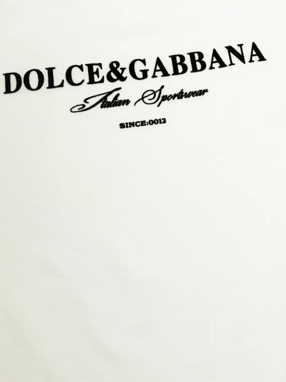 Dolce & Gabbana Kids T-shirt met logoprint Wit