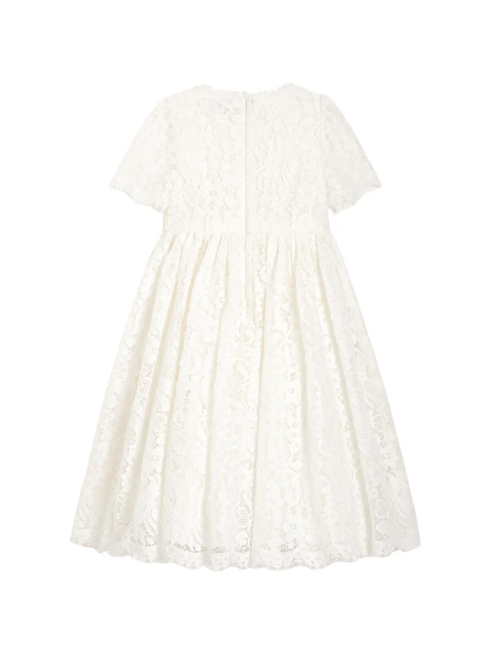 Dolce & Gabbana Kids Jurk met knopen van kant Wit
