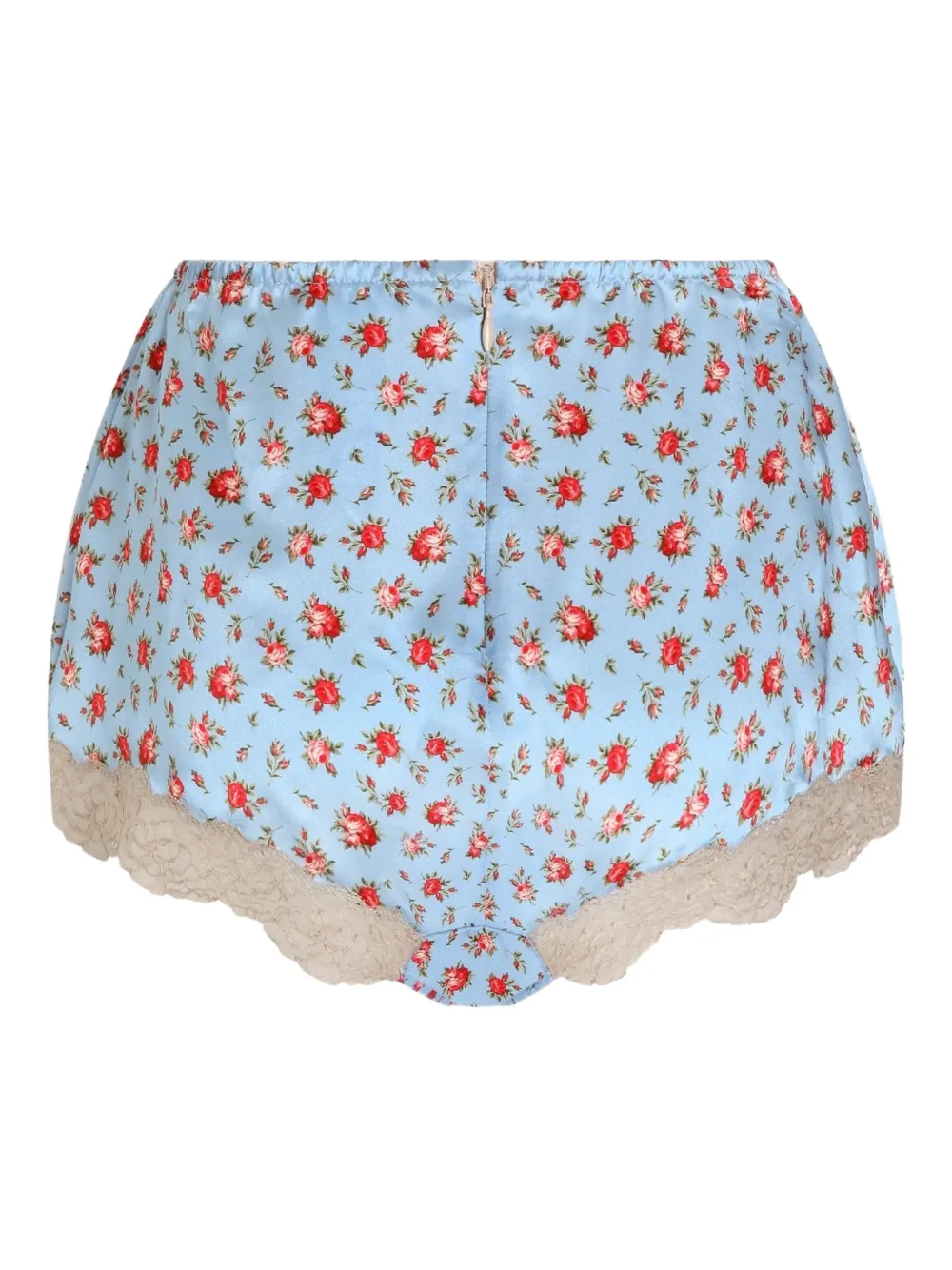  Dolce & Gabbana Floral-print Lace Briefs - Blue 