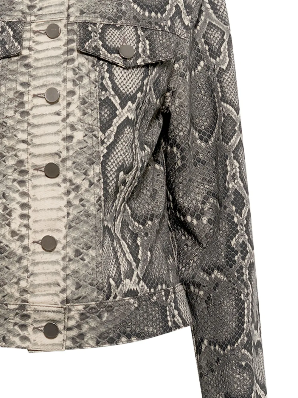 Gabriela Hearst Bronte python-print jacket | Denim Jackets | Image 2
