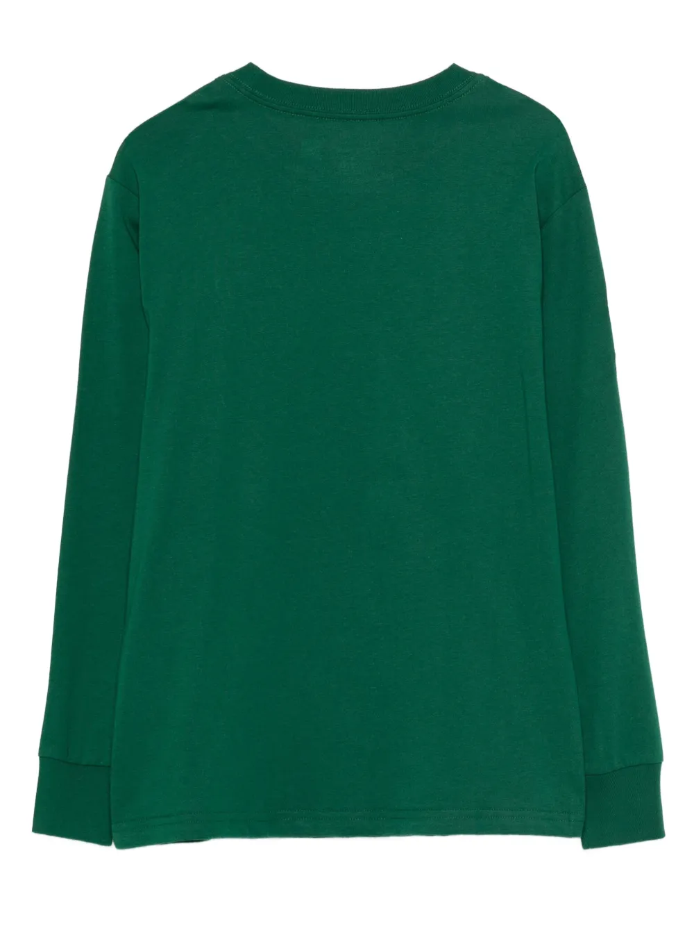 POLO RALPH LAUREN KIDS T-shirt met logo Groen