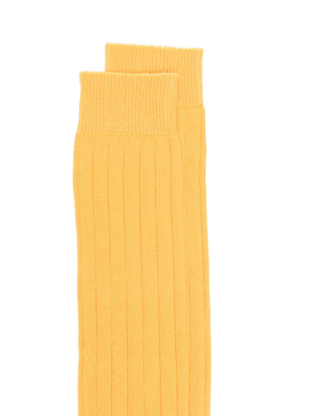 Sebago Ribbed Socks In Multi