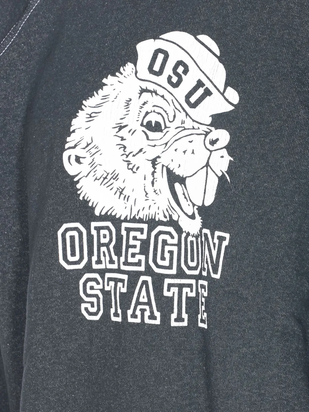  Wild Donkey Oregon-print Crewneck Sweatshirt - Grey 