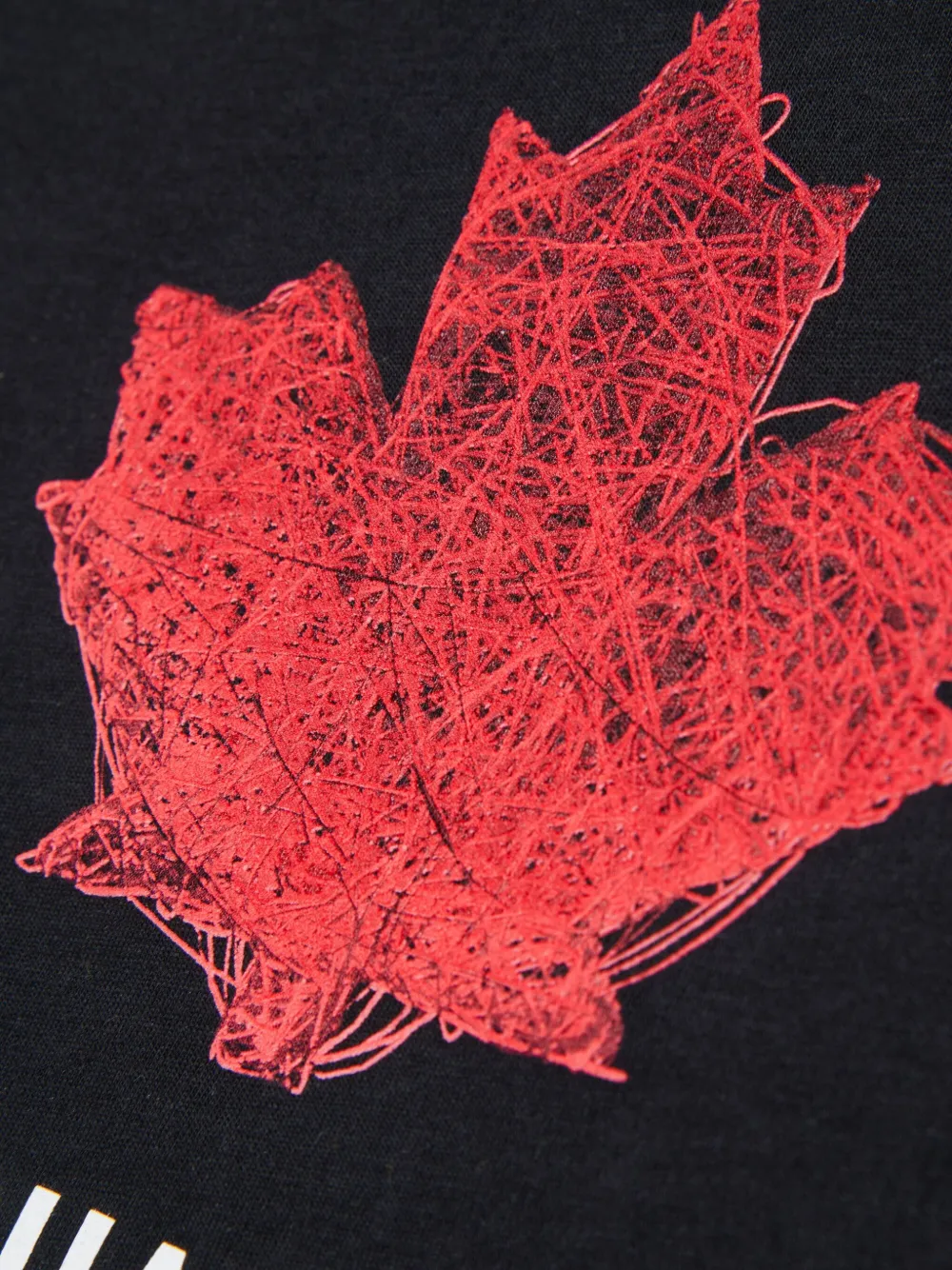 Dsquared2 Maple Leaf Logo T-shirt In Multi