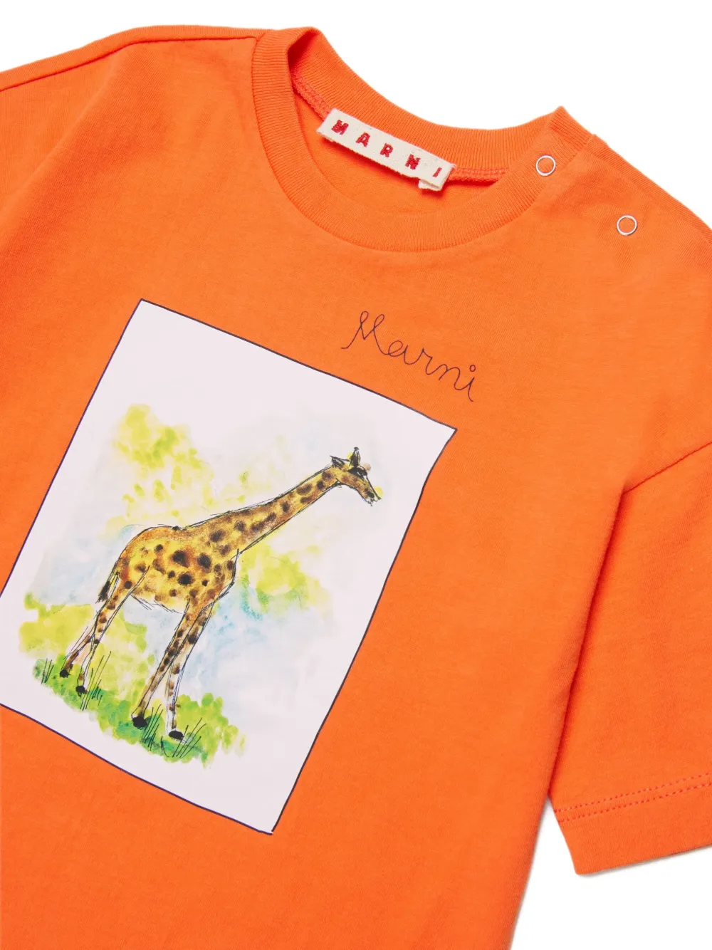 Giraffe-Graphic T-Shirt