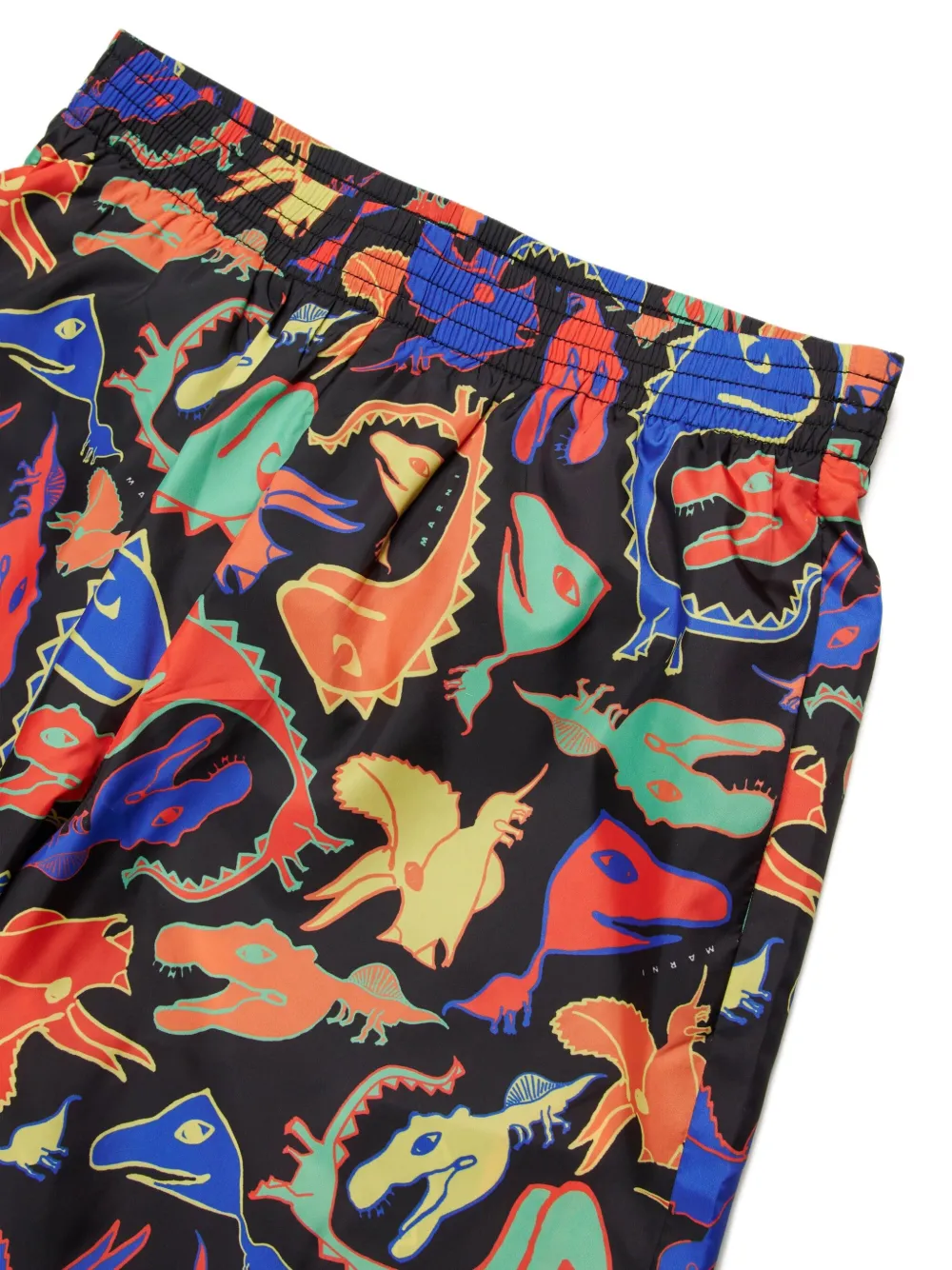 Dinosaur-Print Swim Shorts