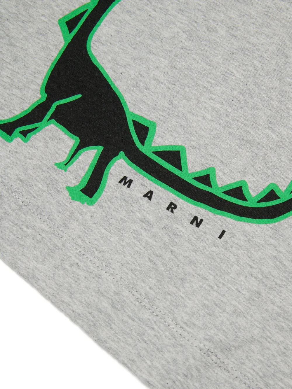 Dinosaur Graphic T-Shirt