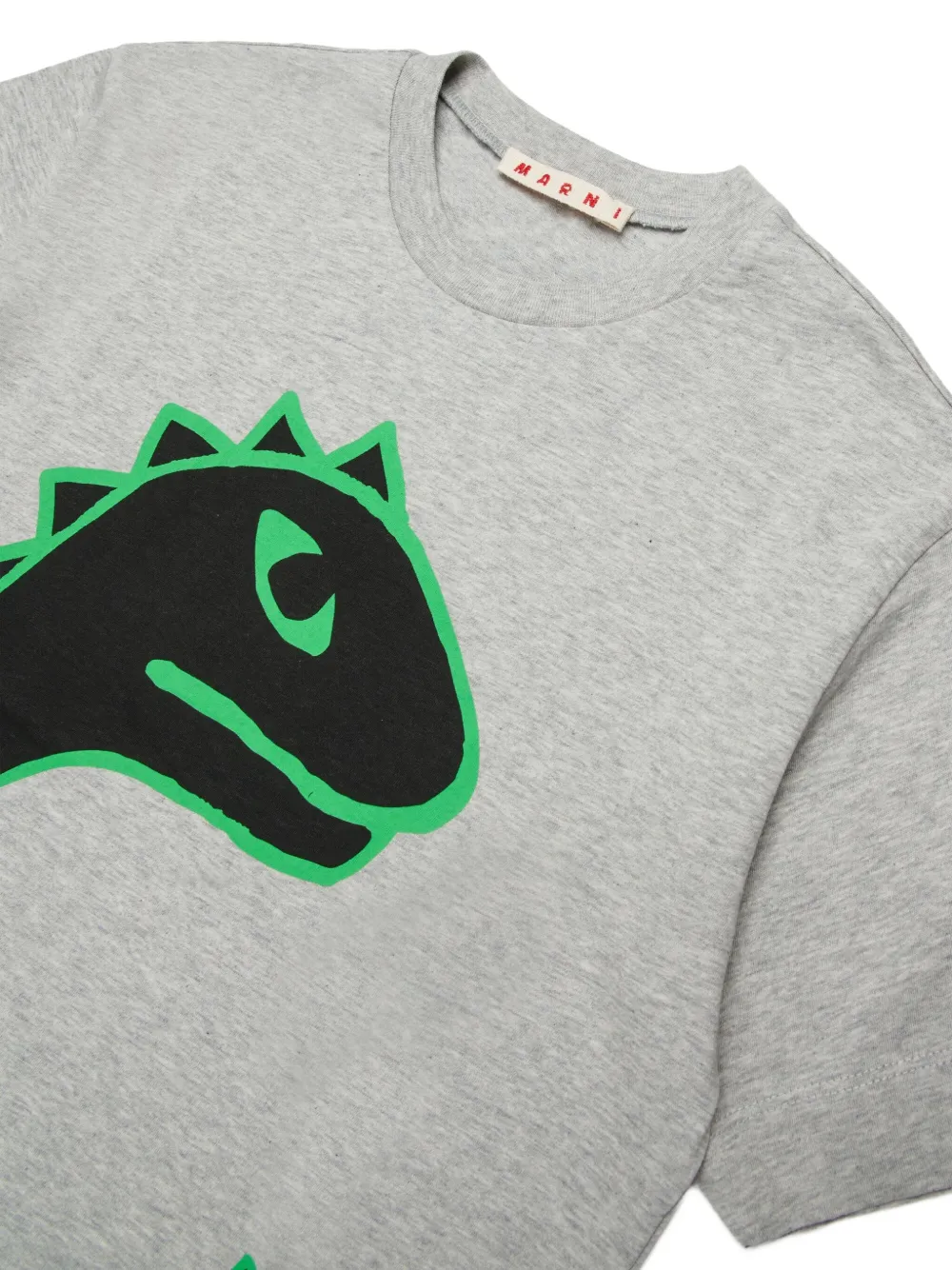 Dinosaur Graphic T-Shirt