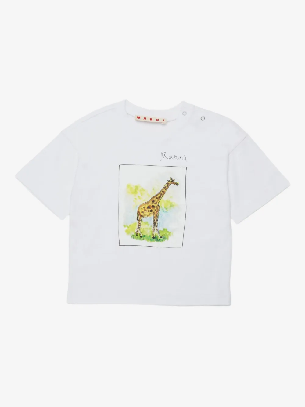 cotton T-shirt with giraffe print - Image 1