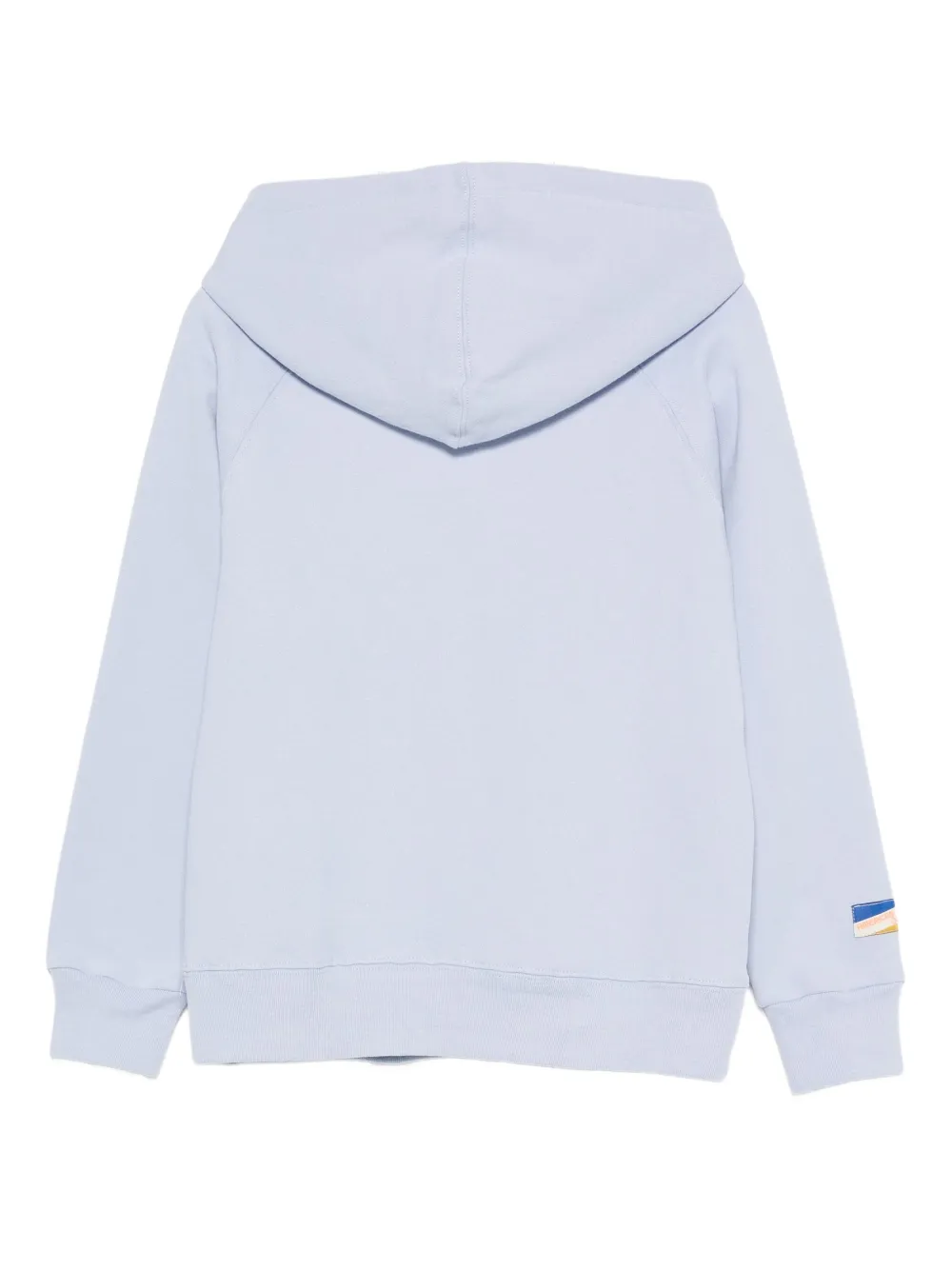 American Outfitters Kids Hoodie met borduurwerk Blauw