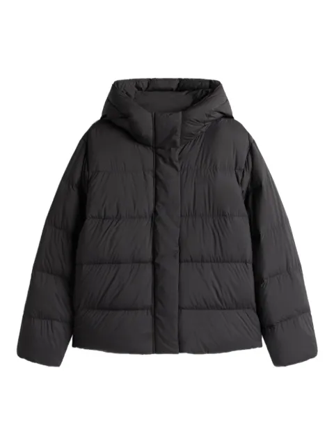 Tommy Hilfiger hooded puffer jacket