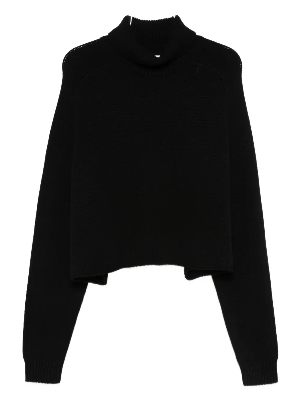 Lisa Yang Cathie roll-neck sweater | Black | Image 1