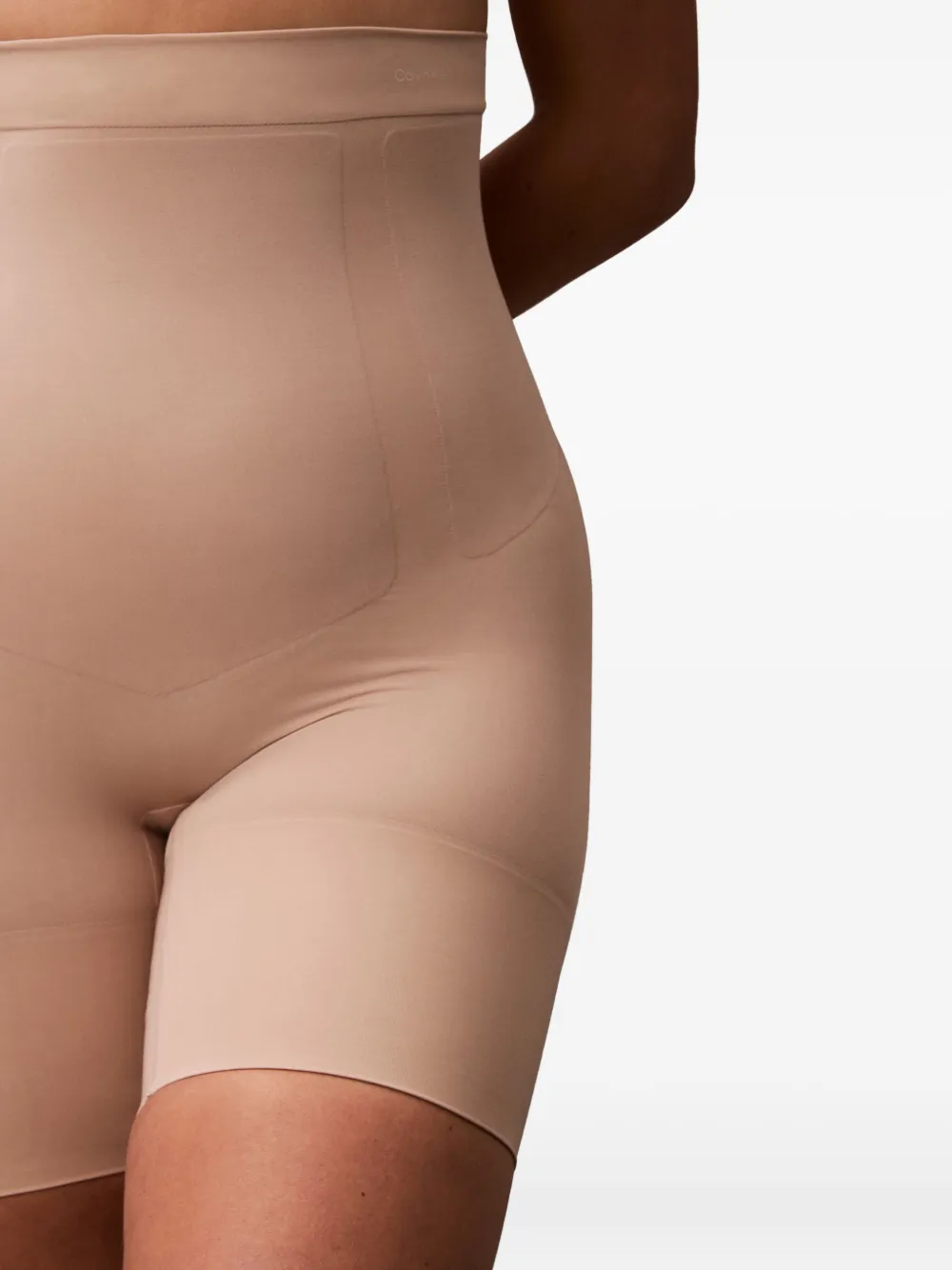 Calvin Klein Underwear High-waisted Panelled Briefs In Brown