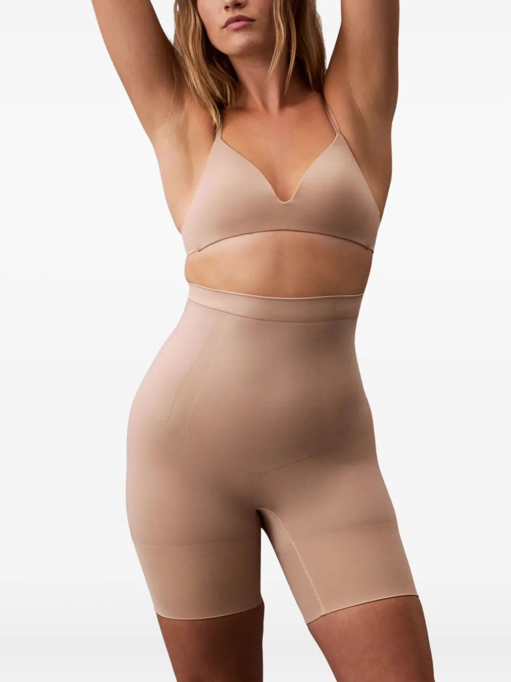Calvin Klein Underwear High-waisted Panelled Briefs In Brown