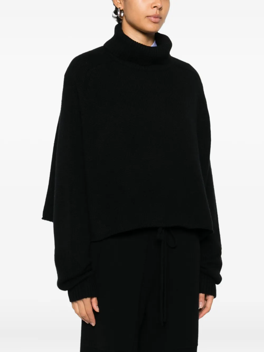 Lisa Yang Cathie Roll-neck Sweater In Black
