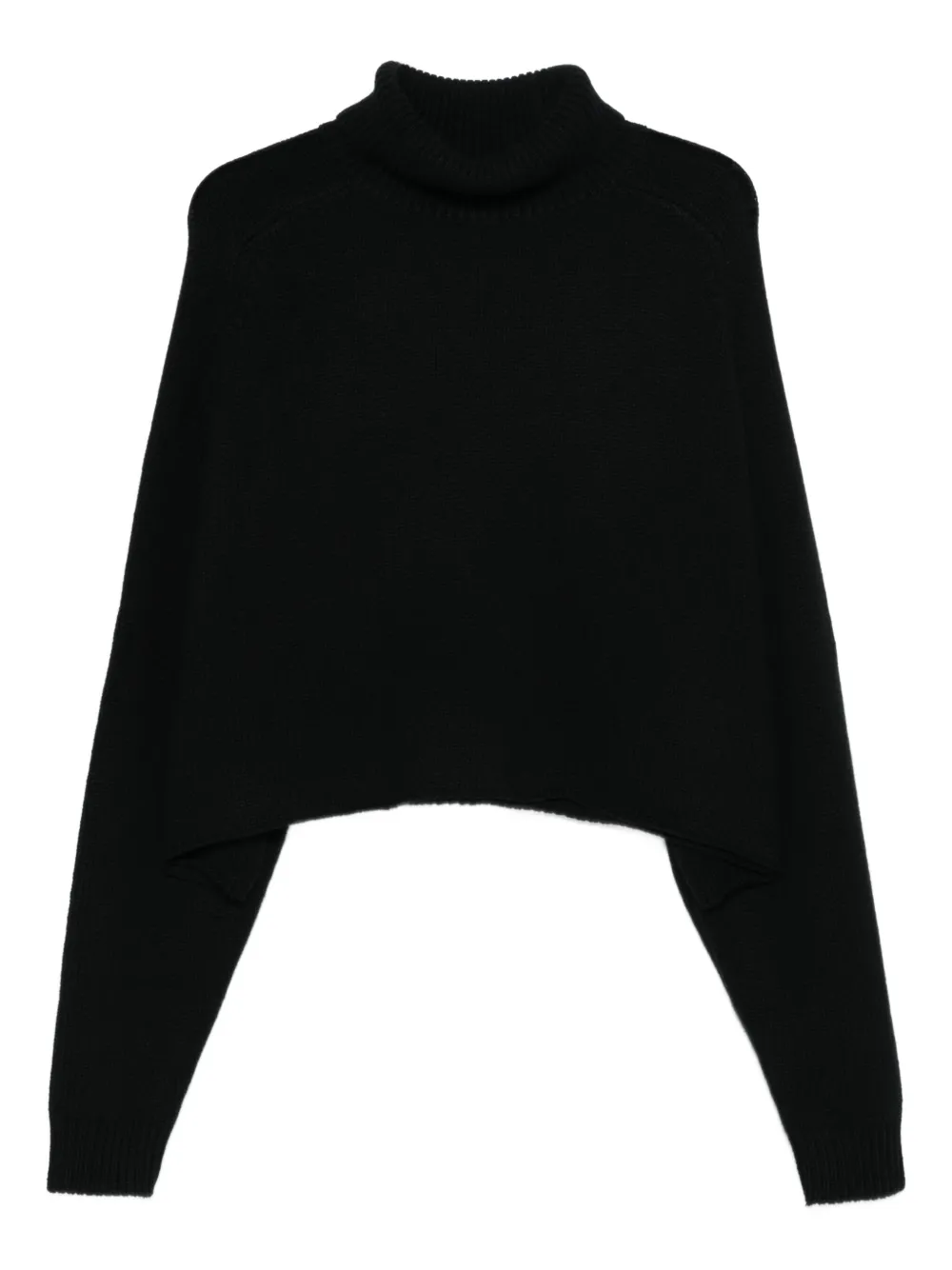 Lisa Yang Cathie roll-neck sweater | noir | Image 1