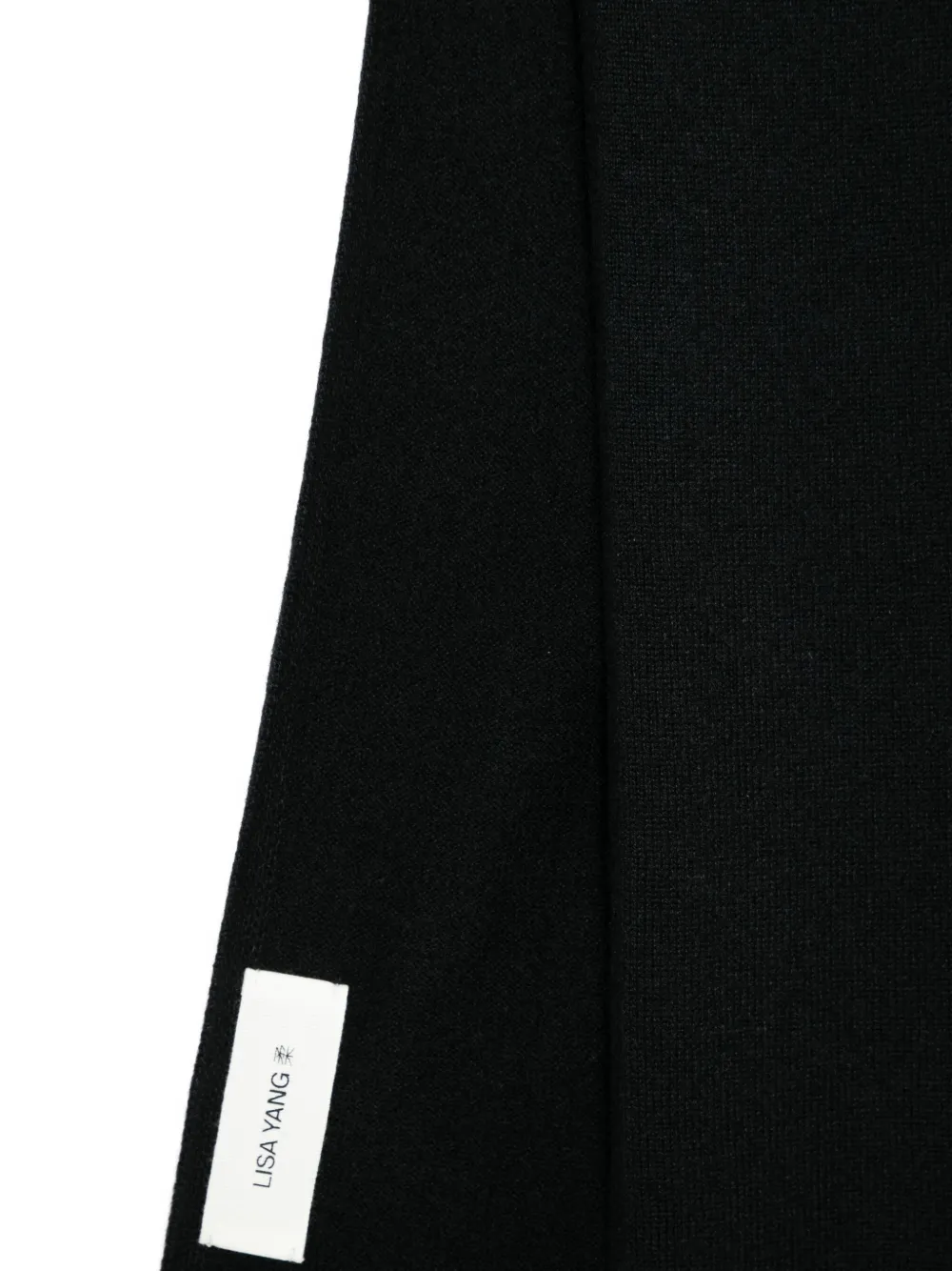 Lisa Yang Viktor Scarf In Brown