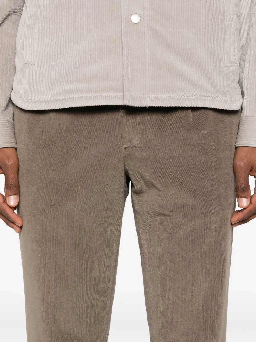 Briglia 1949 Ribfluwelen plooibroek Bruin