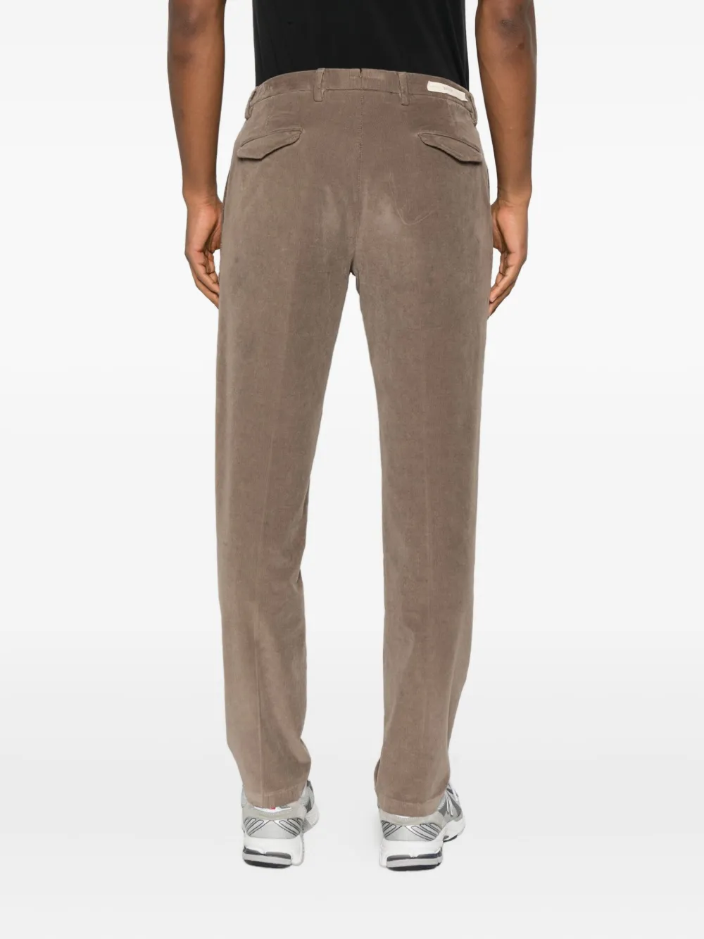 Briglia 1949 Ribfluwelen plooibroek Bruin