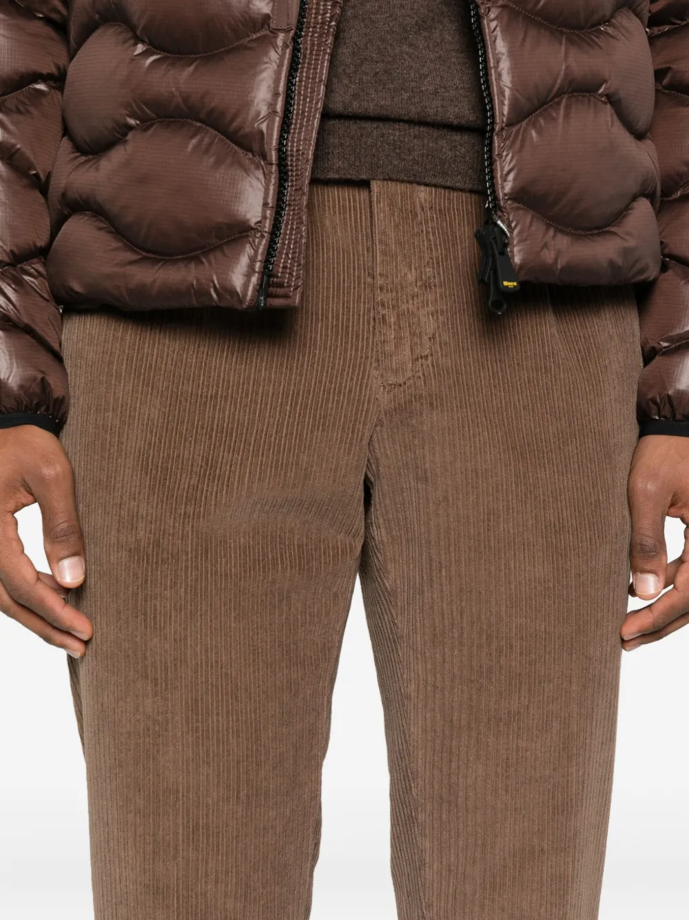 Briglia 1949 Ribfluwelen plooibroek Bruin