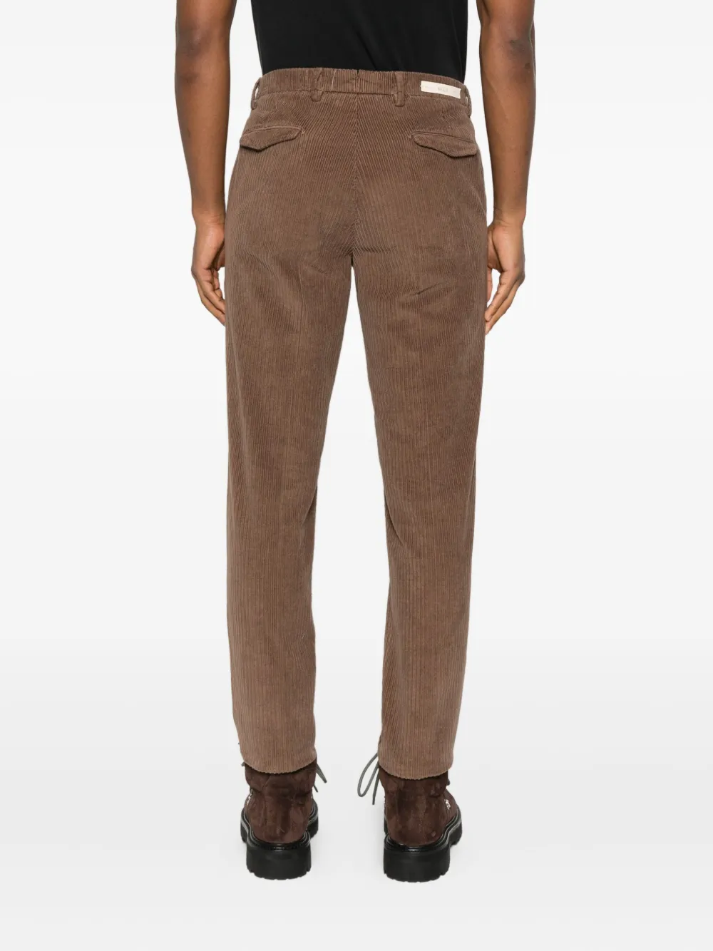 Briglia 1949 Ribfluwelen plooibroek Bruin