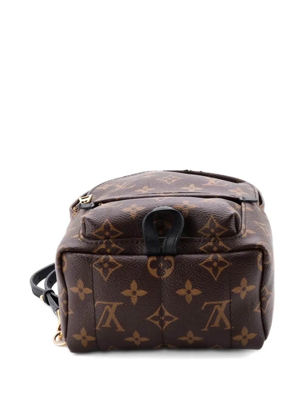 Pre-owned Louis Vuitton Palm Springs Monogram Canvas Mini Backpack