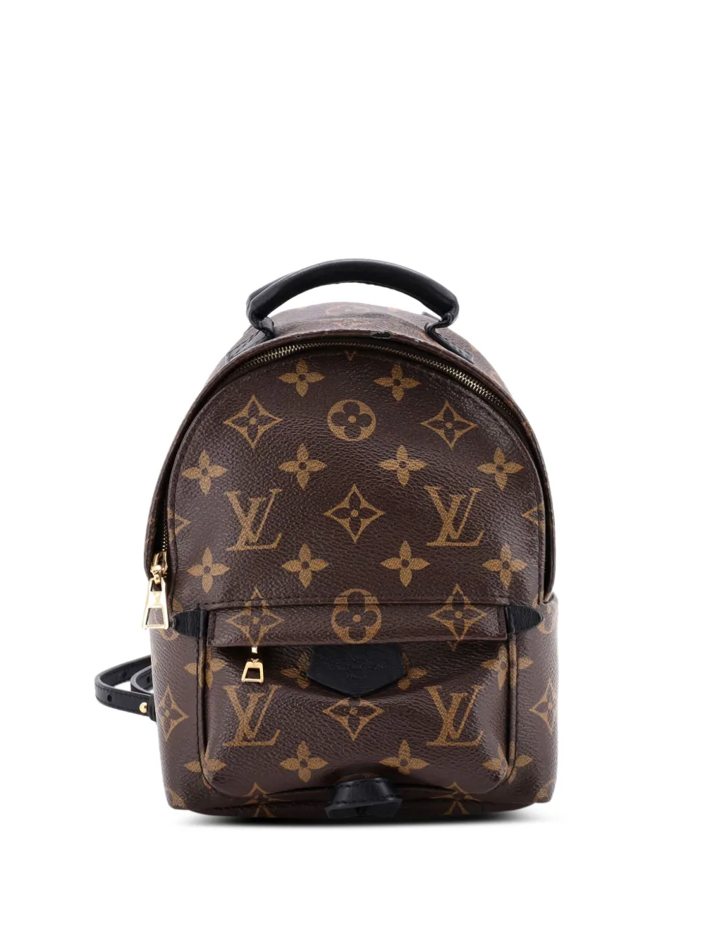 Louis Vuitton Pre-Owned Palm Springs Monogram Canvas Mini backpack -