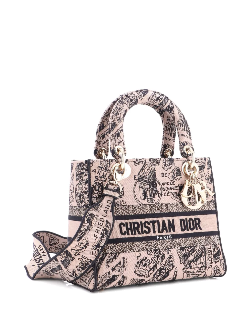 Pre-owned Dior Lady D-lite Bag Embroidered Canvas Medium Satchel
