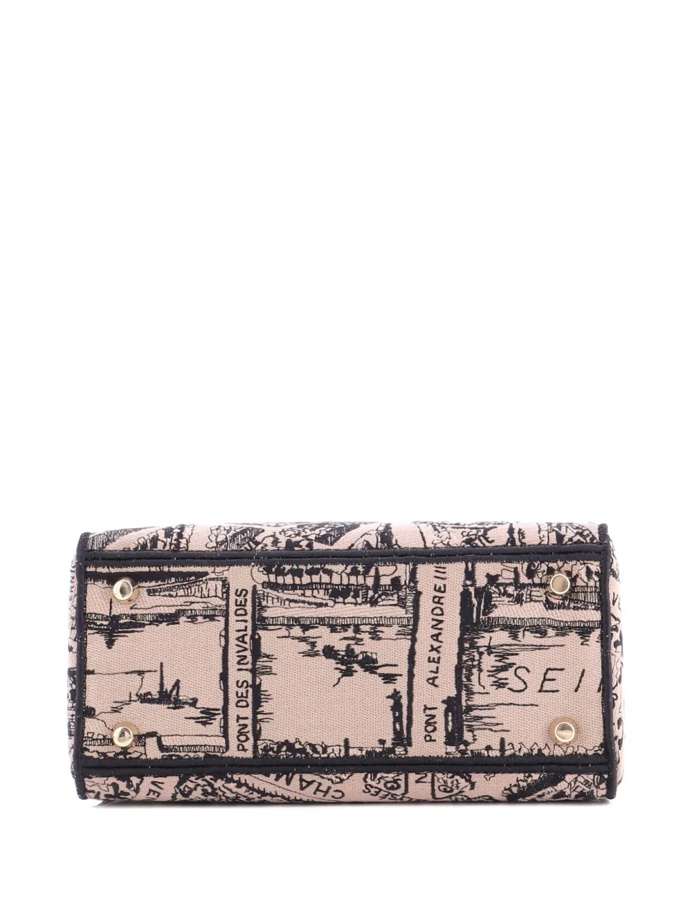 Pre-owned Dior Lady D-lite Bag Embroidered Canvas Medium Satchel