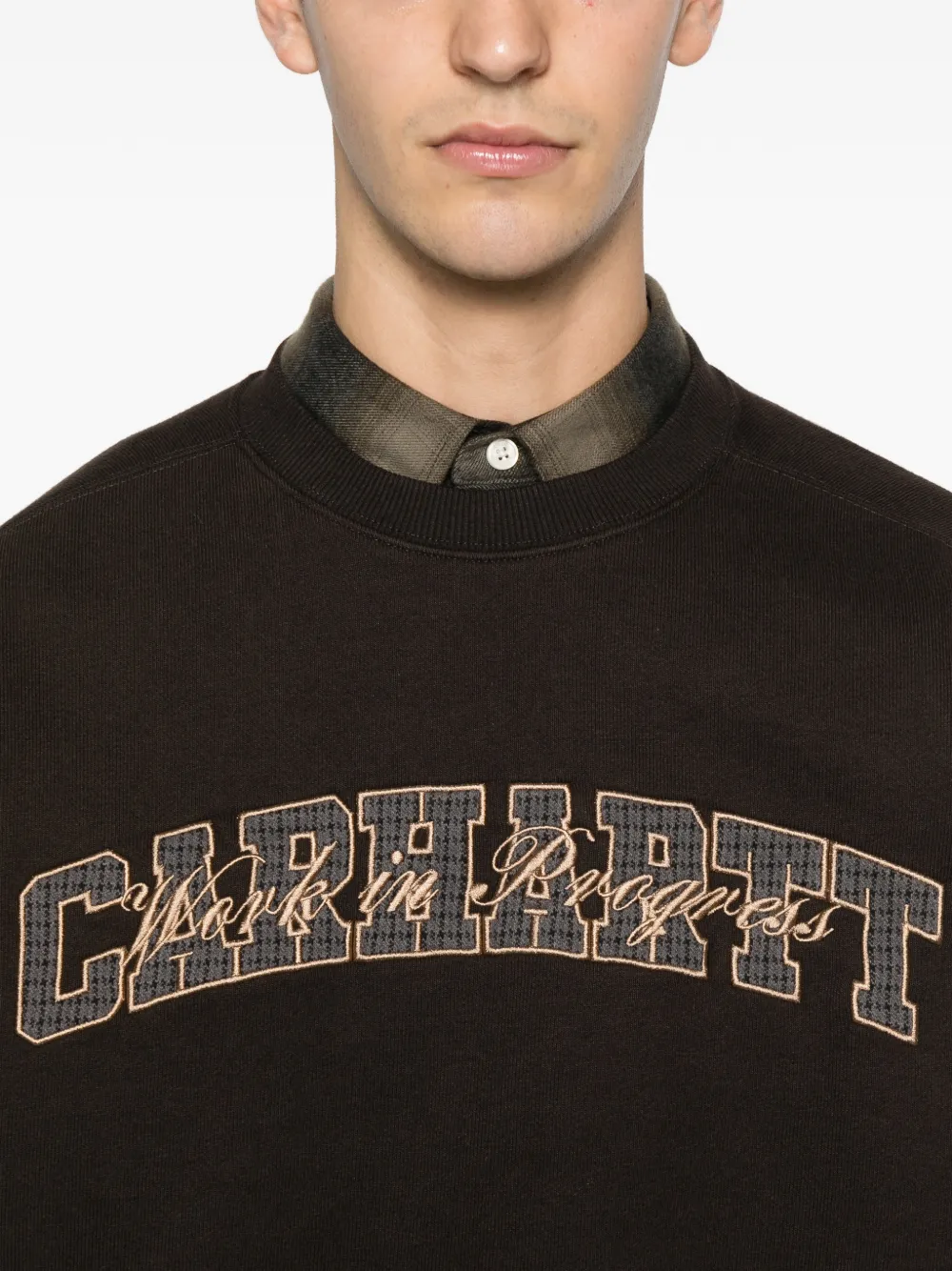 Carhartt Big School Crew-neck Sweatshirt In Brown