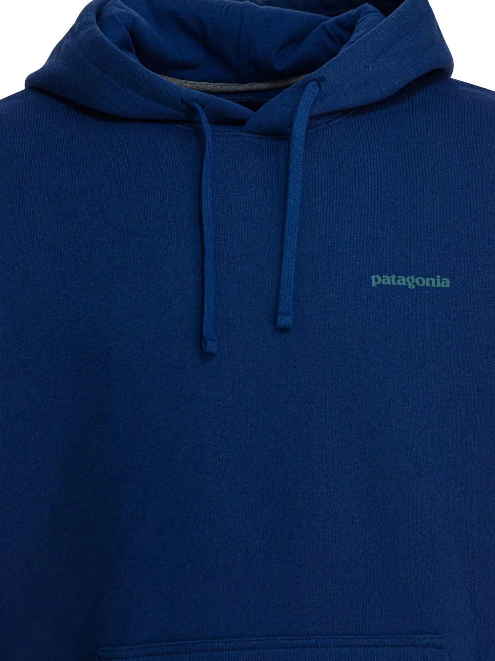 Patagonia Hoodie met trekkoord Blauw