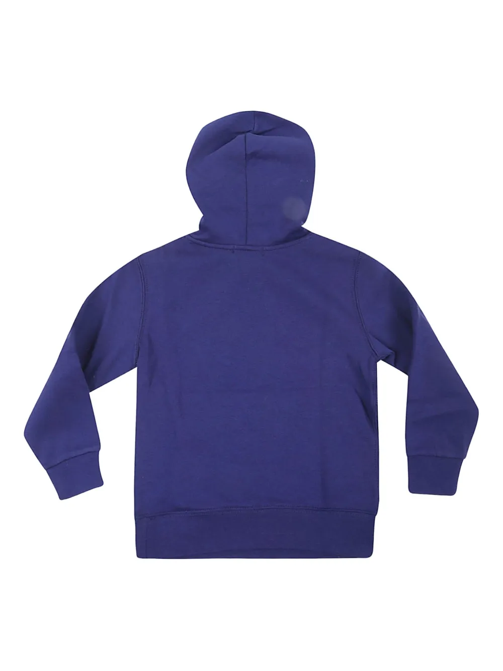 POLO RALPH LAUREN KIDS Hoodie met print Blauw